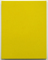 Joshua Smith
Untitled, 2009
Acrylic on canvas
20 x 16 in.